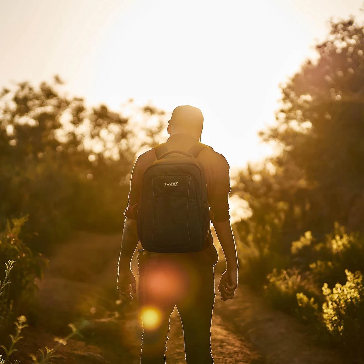 Koelrugtas - 23L - Wandelrugzak - Dagrugzak - Outdoor Rugzak - Dames & Heren - Zwart - Afbeelding 6